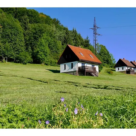 Detached With A Terrace In The Adelaarsgebergte Holiday home Starkov (Hradec Kralove)